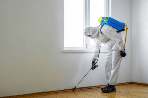 Best Fumigation Services  in Williamsville, NY